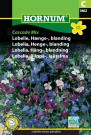 Lobelia, Henge-, blanding 'Cascade Mix' (Lobelia erinus pendula) thumbnail