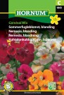 Nemesia, blanding 'Carnival Mix' (Nemesia strumosa) thumbnail