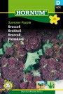 Brokkoli 'Summer Purple' (Brassica oleracea Italica) thumbnail