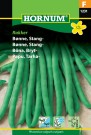 Bønne, Stang- 'Rakker' (Phaseolus vulgaris vulgaris) thumbnail