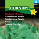 Salatsennep, Rucola '' (Eruca sativa) thumbnail