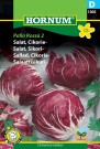 Salat, Sikori- 'Palla Rossa 2' (Cichorium intybus) thumbnail