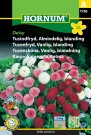 Tusenfryd, Vanlig, blanding 'Daisy' (Bellis perennis) thumbnail