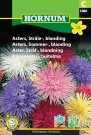 Asters, Sommer-, blanding  (Callistephus chinensis) thumbnail
