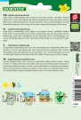 Salatsennep, Rucola '' (Eruca sativa) thumbnail