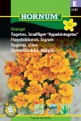 Appelsin-fløyelsblomst, Signet- 'Orange' (Tagetes tenuifolia) thumbnail