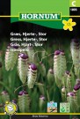 Gress, Hjerte-, Stor  (Briza Maxima) thumbnail