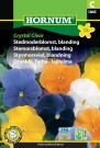 Stemorsblomst, blanding 'Crystal Clear' (Viola wittrockiana) thumbnail