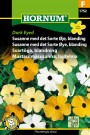 Susanne med det Sorte Øye, blanding 'Dark Eyed' (Thunbergia alata) thumbnail