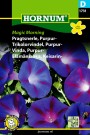 Trikolorvindel, Purpur- 'Magic Morning' (Ipomoea nil) thumbnail
