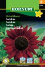 Solsikke 'Velvet Queen' (Helianthus annuus) thumbnail