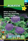 Rødknapp, Alminnelig  (Knautia arvensis) thumbnail