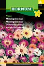 Middagsblomst 'Noon' (Dorotheanthus bellidiformis) thumbnail