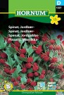 Spinat, Jordbær- '' (Chenopodium foliosum) thumbnail