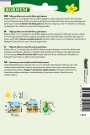 Bønne, Busk- 'Valdor' (Phaseolus vulgaris nanus) thumbnail