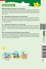 Gulrot, Sommer- 'Rotin' (Daucus carota) thumbnail