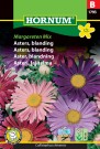 Asters, blanding 'Margareten Mix' (Callistephus chinensis) thumbnail