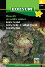 Salat, Hode- 'Merveille des quatre Saisons' (Lactuca sativa capitata) thumbnail
