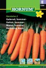 Gulrot, Sommer- 'Nantaise 2' (Daucus carota) thumbnail