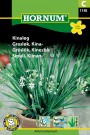 Grasløk, Kina- (Allium tuberosum) thumbnail