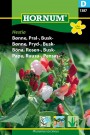 Bønne, Pryd-, Busk- 'Hestia' (Phaseolus coccineus) thumbnail