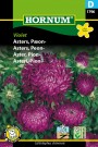 Asters, Peon- 'Violet' (Callistephus chinensis) thumbnail