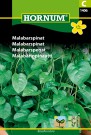 Malabarspinat '' (Basella rubra) thumbnail
