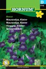 Maurandya, Klatre- 'Bocca' (Asarina scandens) thumbnail