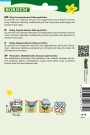 Risp, Kne-, Vinget, blanding 'Colorita' (Limonium sinuatum) thumbnail