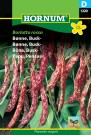 Bønne, Busk- 'Borlotto rosso' (Phaseolus vulgaris) thumbnail