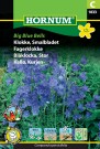 Fagerklokke 'Big Blue Bells' (Campanula persicifolia) thumbnail