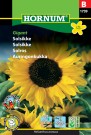 Solsikke 'Gigant' (Helianthus annuus) thumbnail