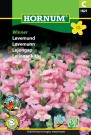Løvemunn 'Winner' (Antirrhinum majus maximum) thumbnail