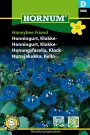 Honningurt, Klokke- 'Honeybee Friend' (Phacelia campanularia) thumbnail
