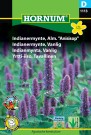 Indianermynte, Vanlig (Agastache foeniculum) thumbnail