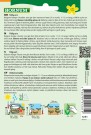 Bønne, Stang- 'Rakker' (Phaseolus vulgaris vulgaris) thumbnail