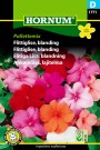 Flittiglise, blanding 'Pallettemix' (Impatiens walleriana) thumbnail