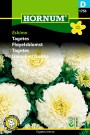 Fløyelsblomst 'Eskimo' (Tagetes erecta) thumbnail
