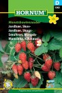 Jordbær, Skogs- 'Monatsbowlenzauber' (Fragaria vesca semperflorens) thumbnail