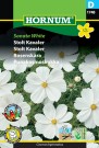 Pyntekorg 'Sonata White' (Cosmos bipinnatus) thumbnail