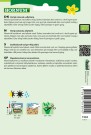 Karse (Lepidium sativum) thumbnail
