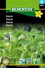 Stevia  (Stevia rebaudiana) thumbnail