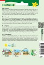Agurk, Asie-, Frilands- 'Fatum' (Cucumis sativus) thumbnail
