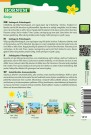 Agurk, Salat-, Frilands- 'Sonja' (Cucumis sativus) thumbnail