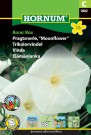 Trikolorvindel 'Bona Nox' (Ipomoea alba noctiflora) thumbnail