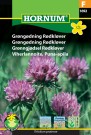 Grøngødning Rødkløver '' (Trifolium pratense) thumbnail