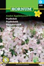Prydtobakk 'Avalon Appleblossom F1' (Nicotiana x sanderae) thumbnail