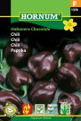 Chili 'Habanero Chocolate' (Capsicum chinese) thumbnail
