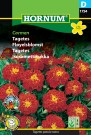 Fløyelsblomst 'Carmen' (Tagetes patula nana) thumbnail