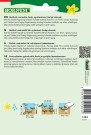 Reddik 'Rundes halbrot - halbweiss' (Raphanus sativus sativus) thumbnail